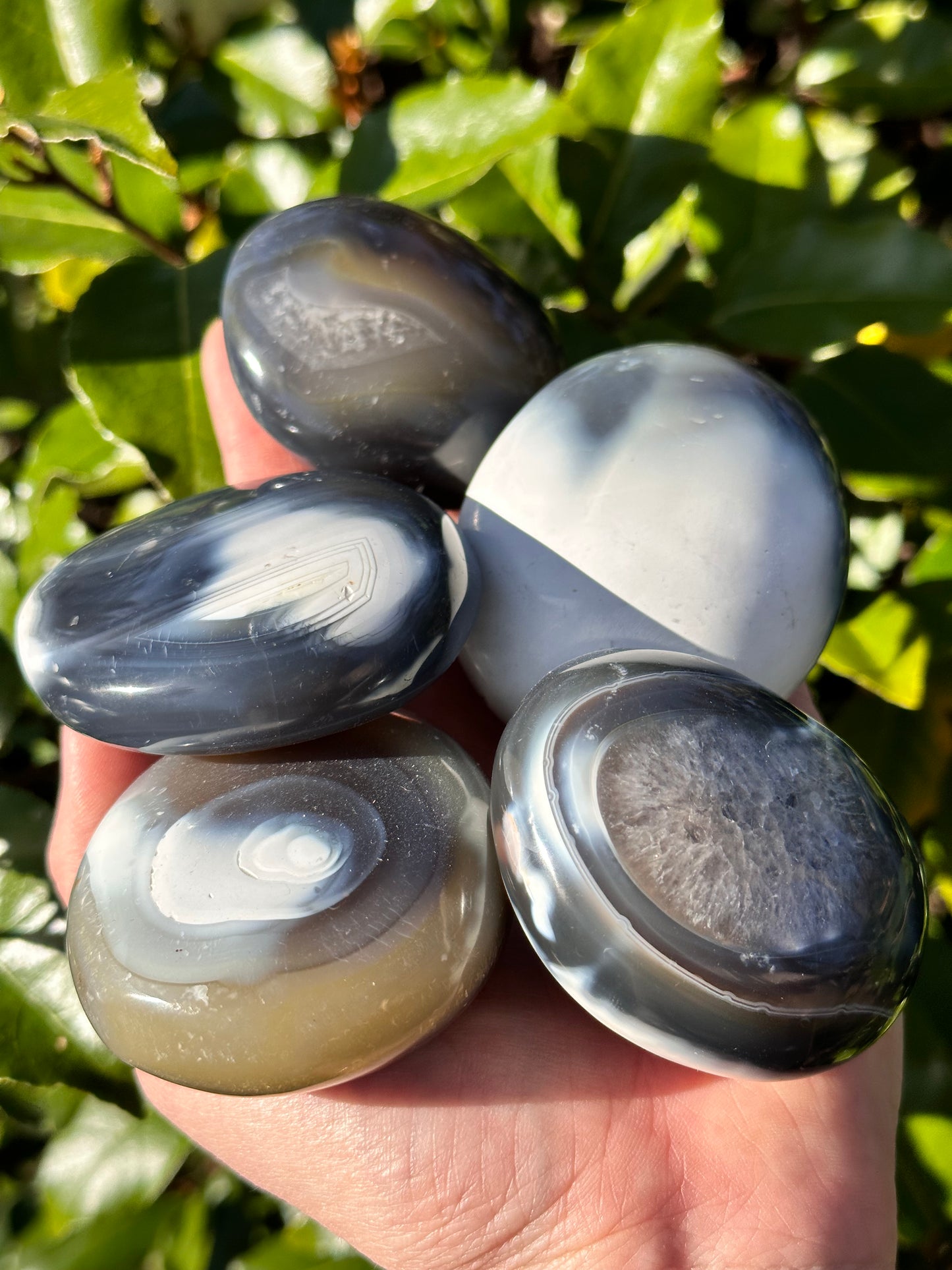 ORCA AGATE PALM STONE