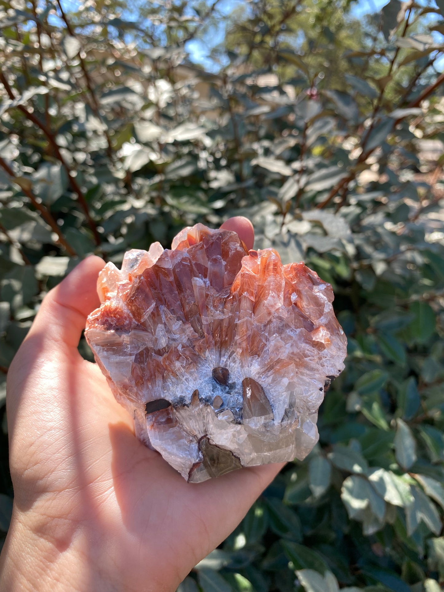 TRI COLORED CALCITE