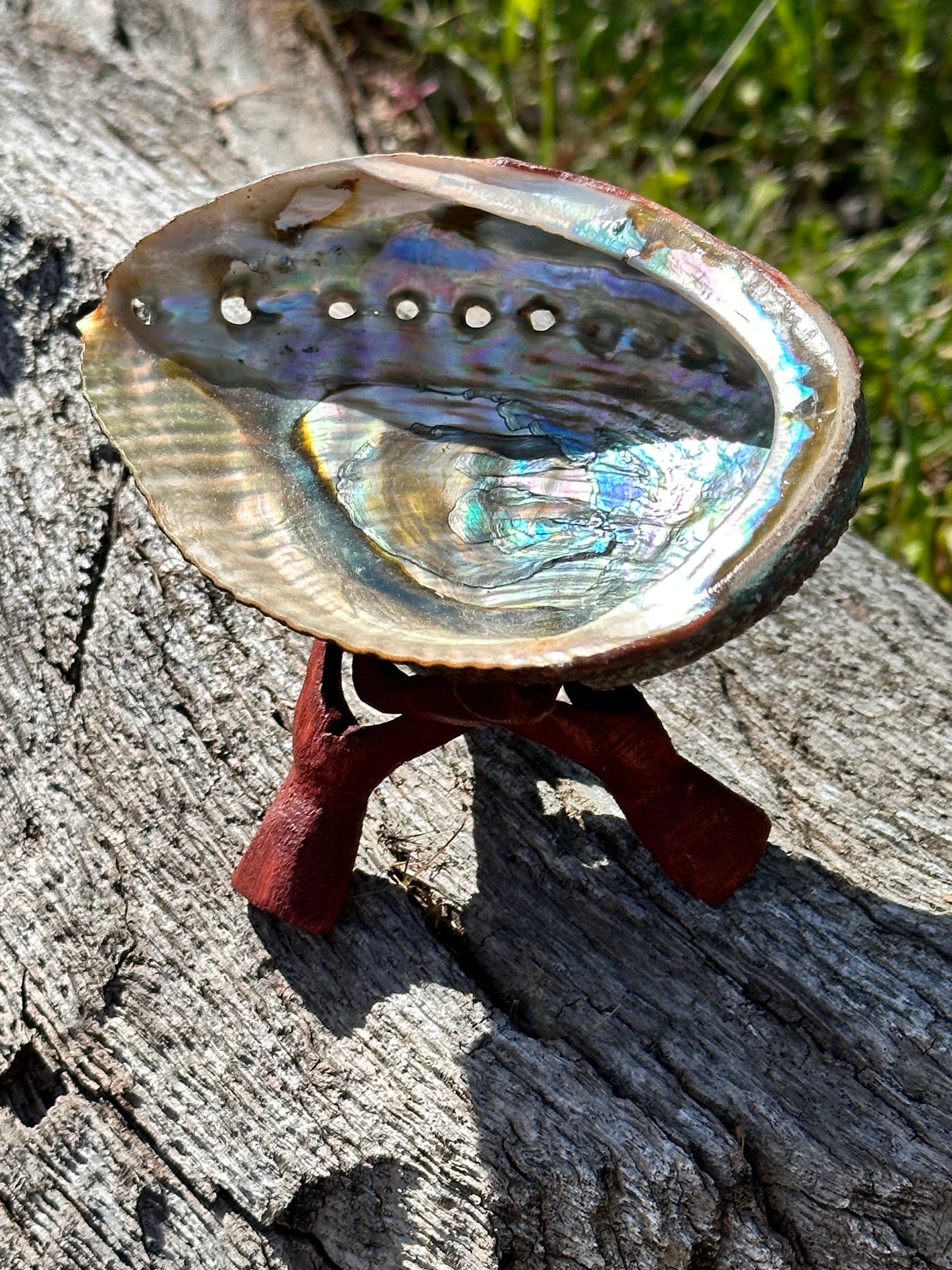 ABALONE SHELL SMUDGE BOWL