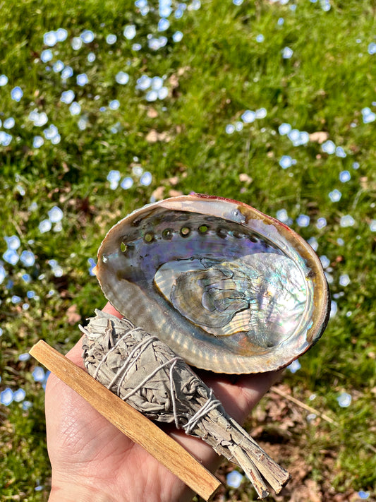 Wooden Tripod Stand for Abalone Shells, Crystals, and Spheres
