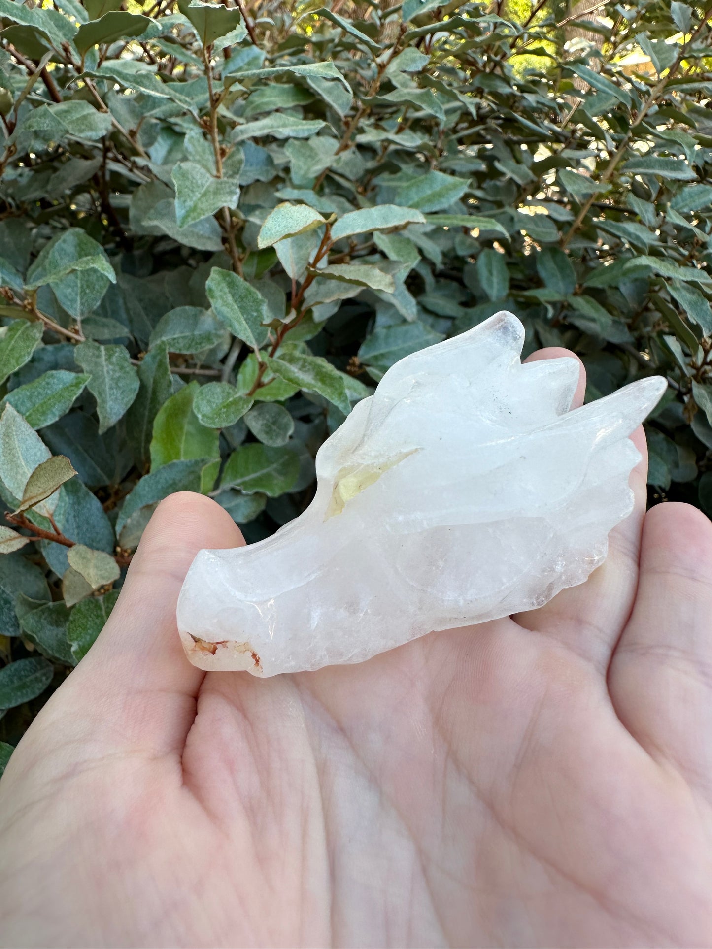 CLEAR QUARTZ DRAGON SKULL