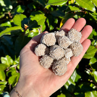 Desert rose gypsum