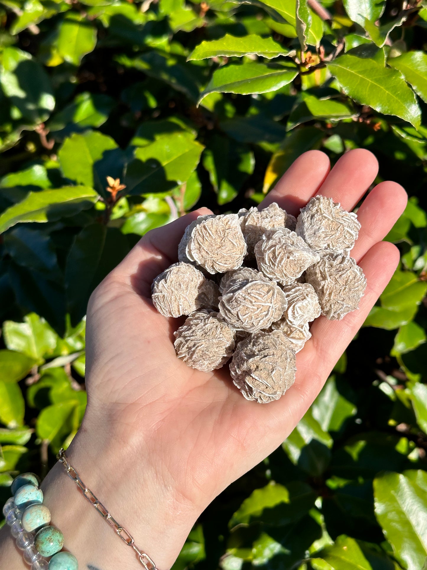 GYPSUM DESERT ROSE-”ETTES” minis