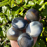 ORCA AGATE PALM STONE