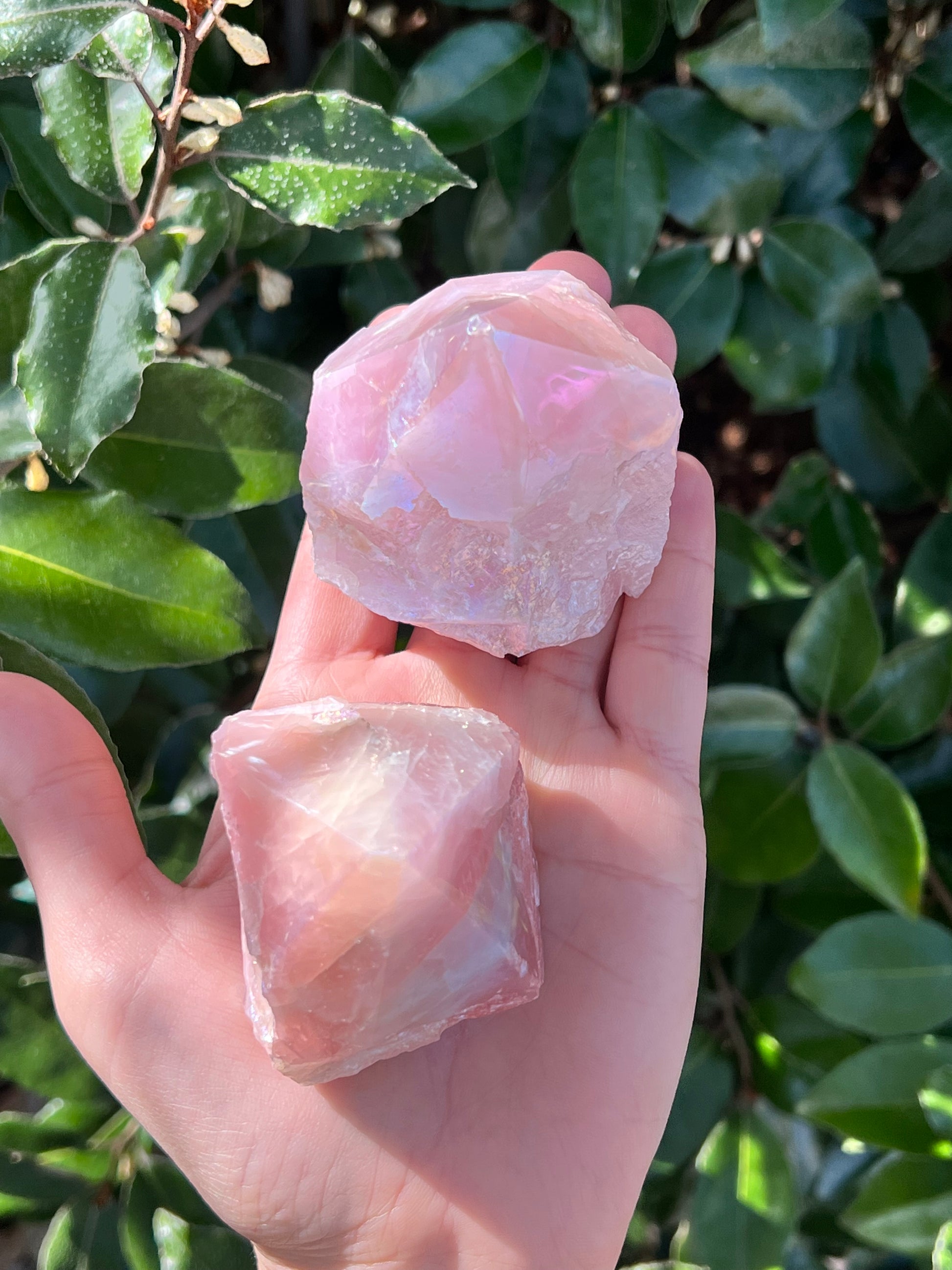 ANGEL AURA COATED ROSE QUARTZ TOP POLISH POINT