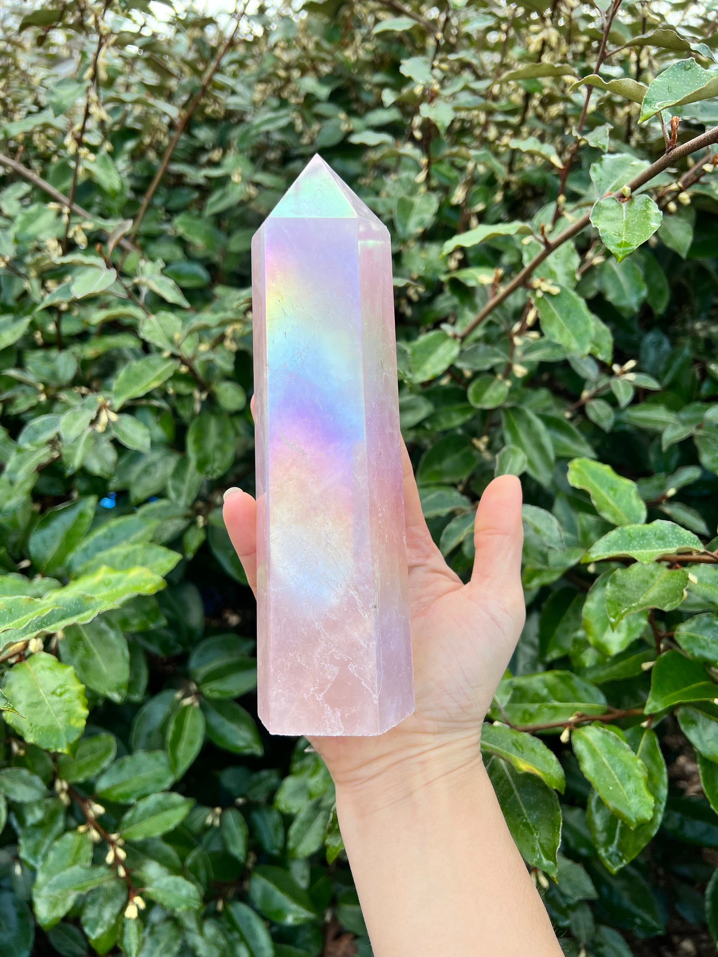 ANGEL AURA COATED ROSE QUARTZ TOWER