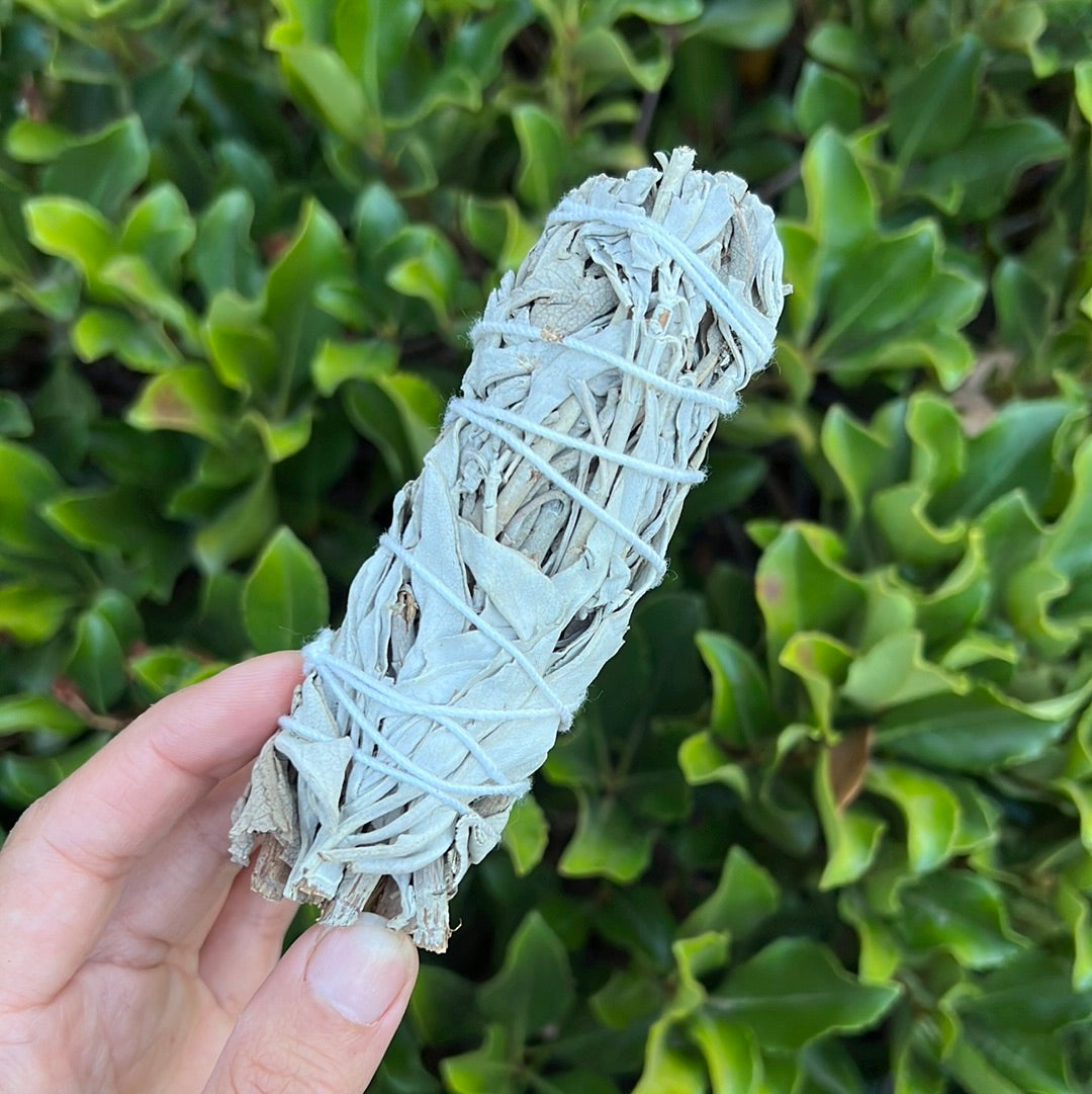 SAGE SMUDGE STICK