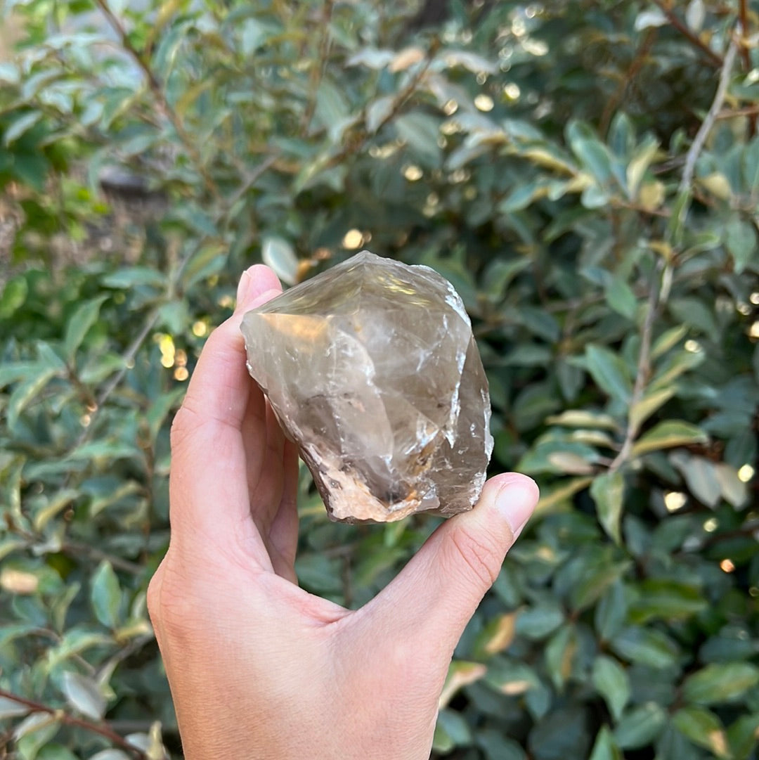 SMOKY QUARTZ TOP POLISHED POINT