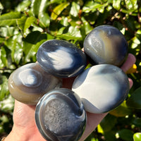 ORCA AGATE PALM STONE