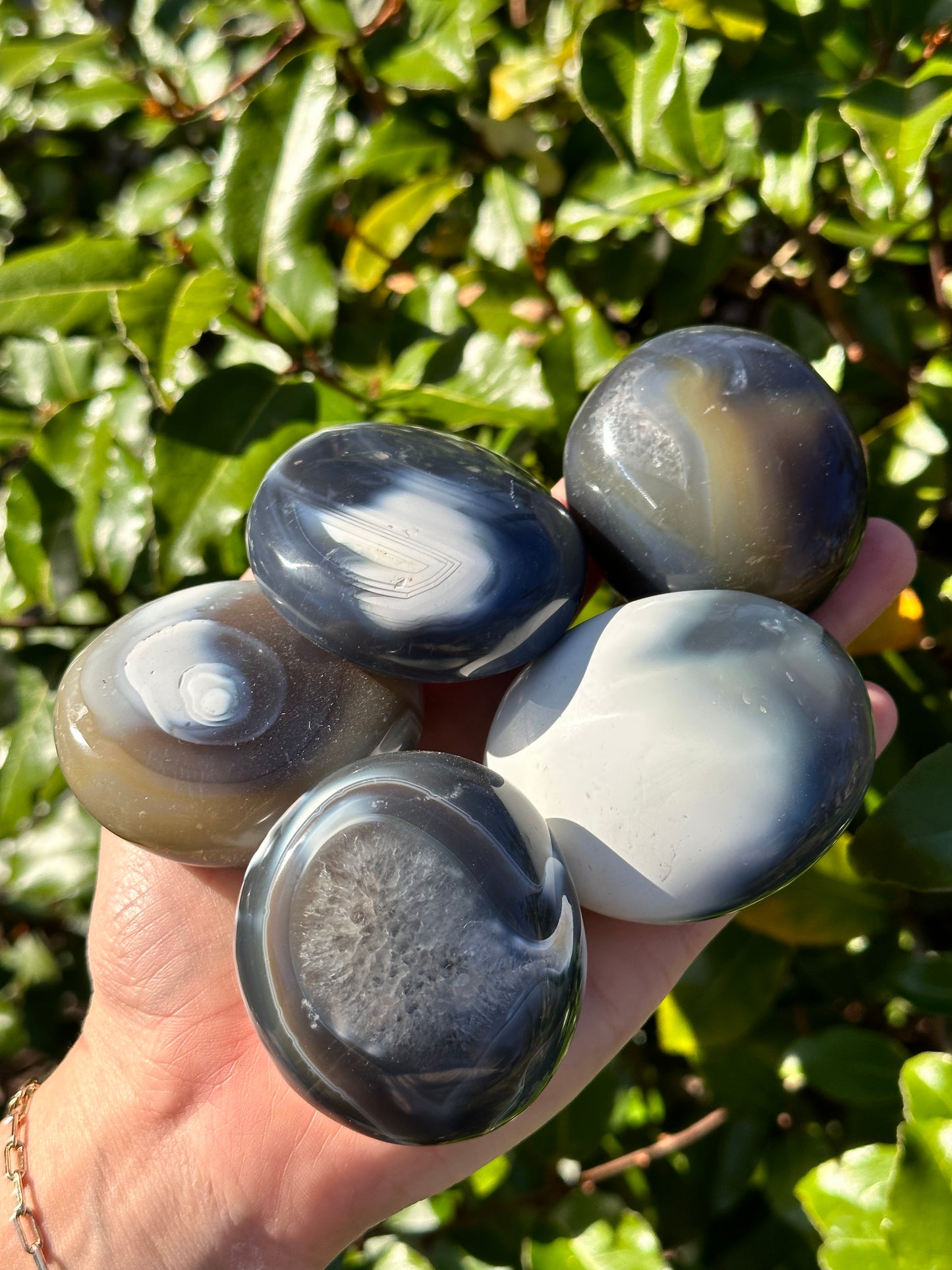 ORCA AGATE