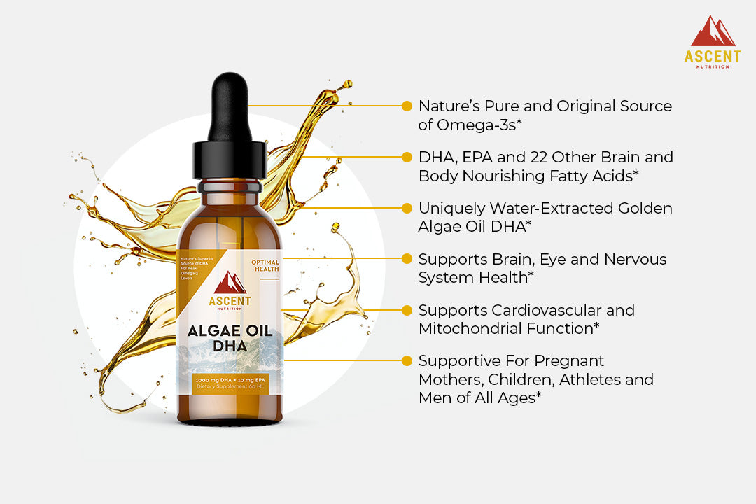 Algae Oil DHA Omega-