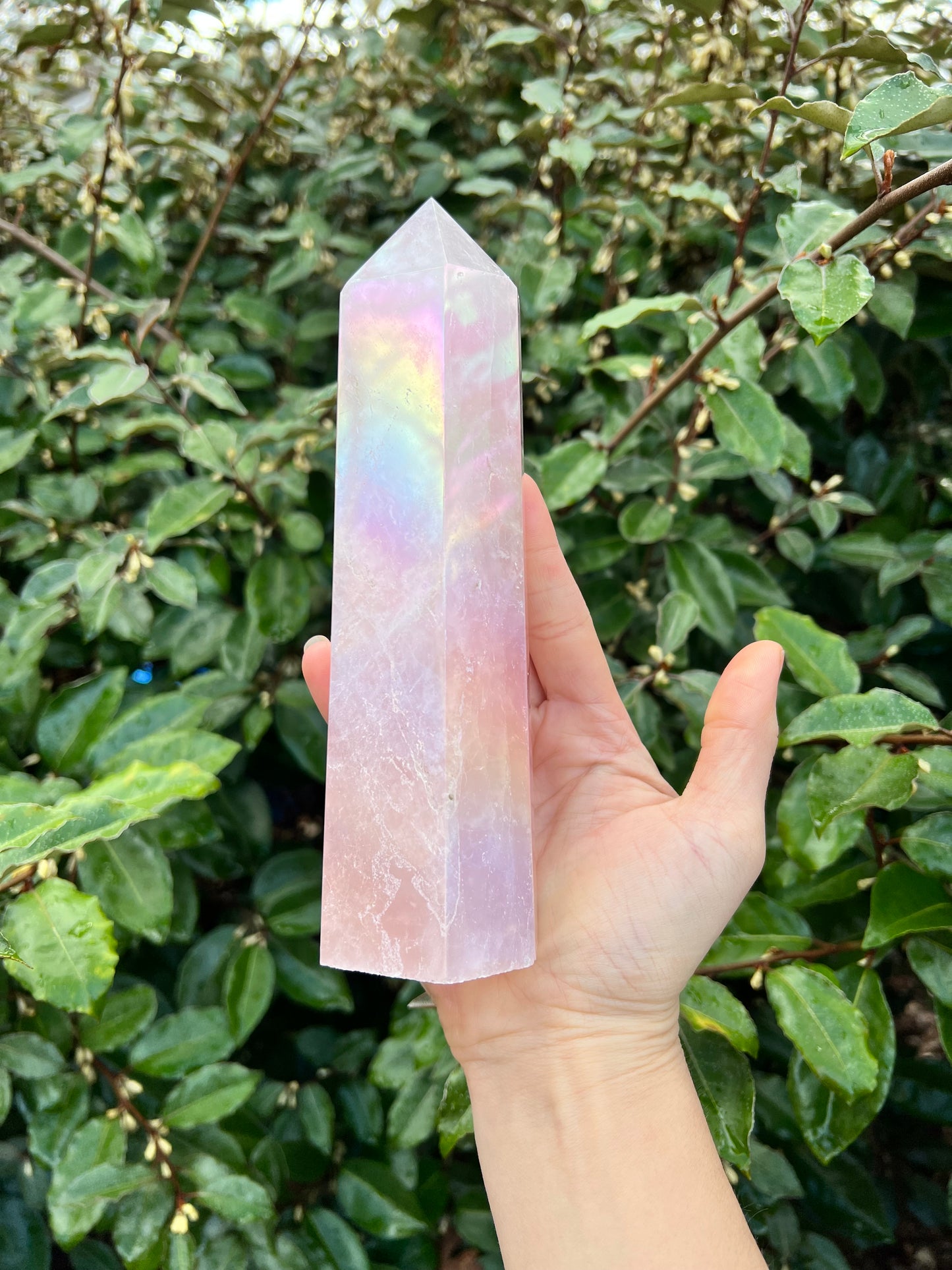 ANGEL AURA COATED ROSE QUARTZ TOWER