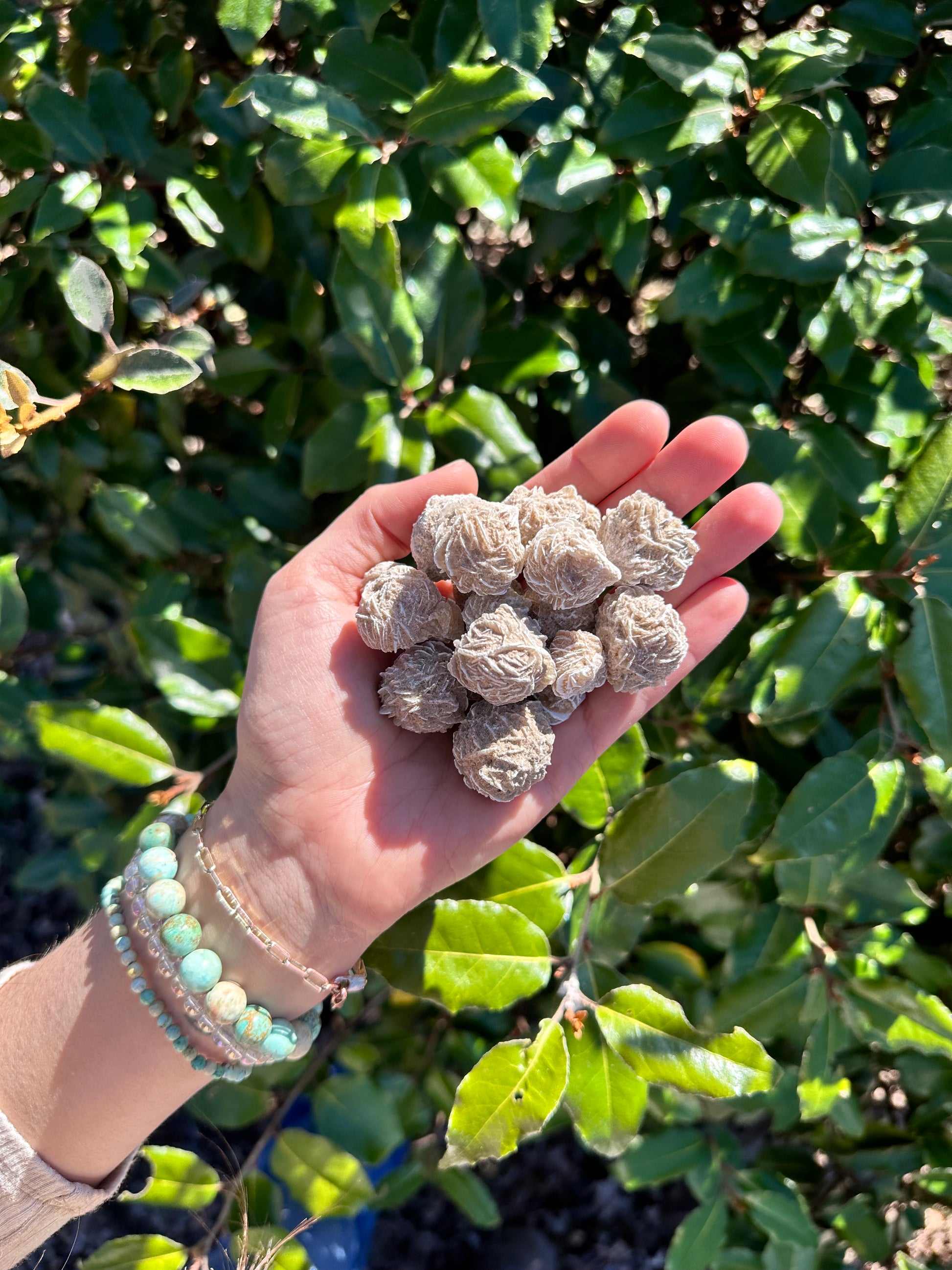 desert rose florets 