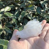 CLEAR QUARTZ DRAGON SKULL