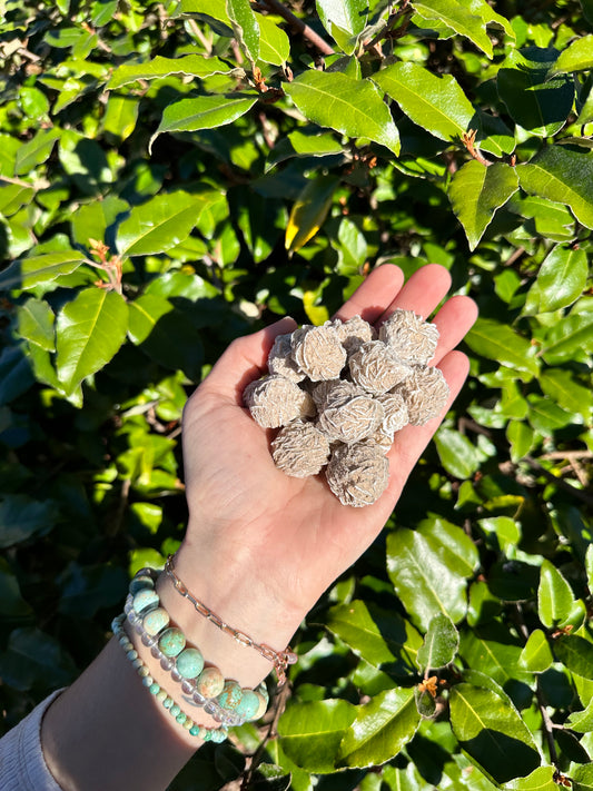 DESERT ROSE SELENITE minis