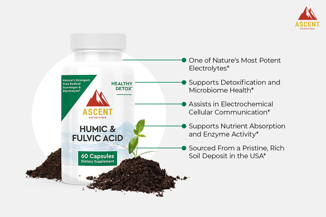 Humic & Fulvic Acid, 60 Capsules, 500 mg each by Ascent Nutrition