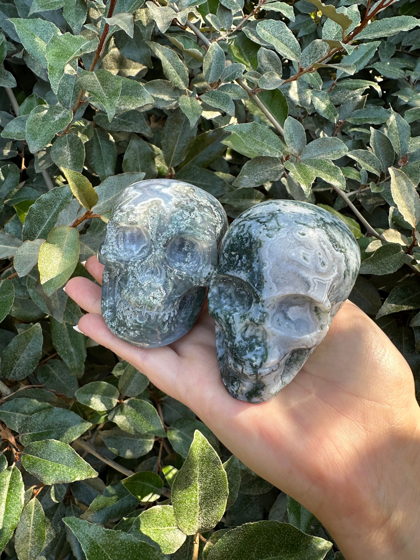 MOSS AGATE SKULL