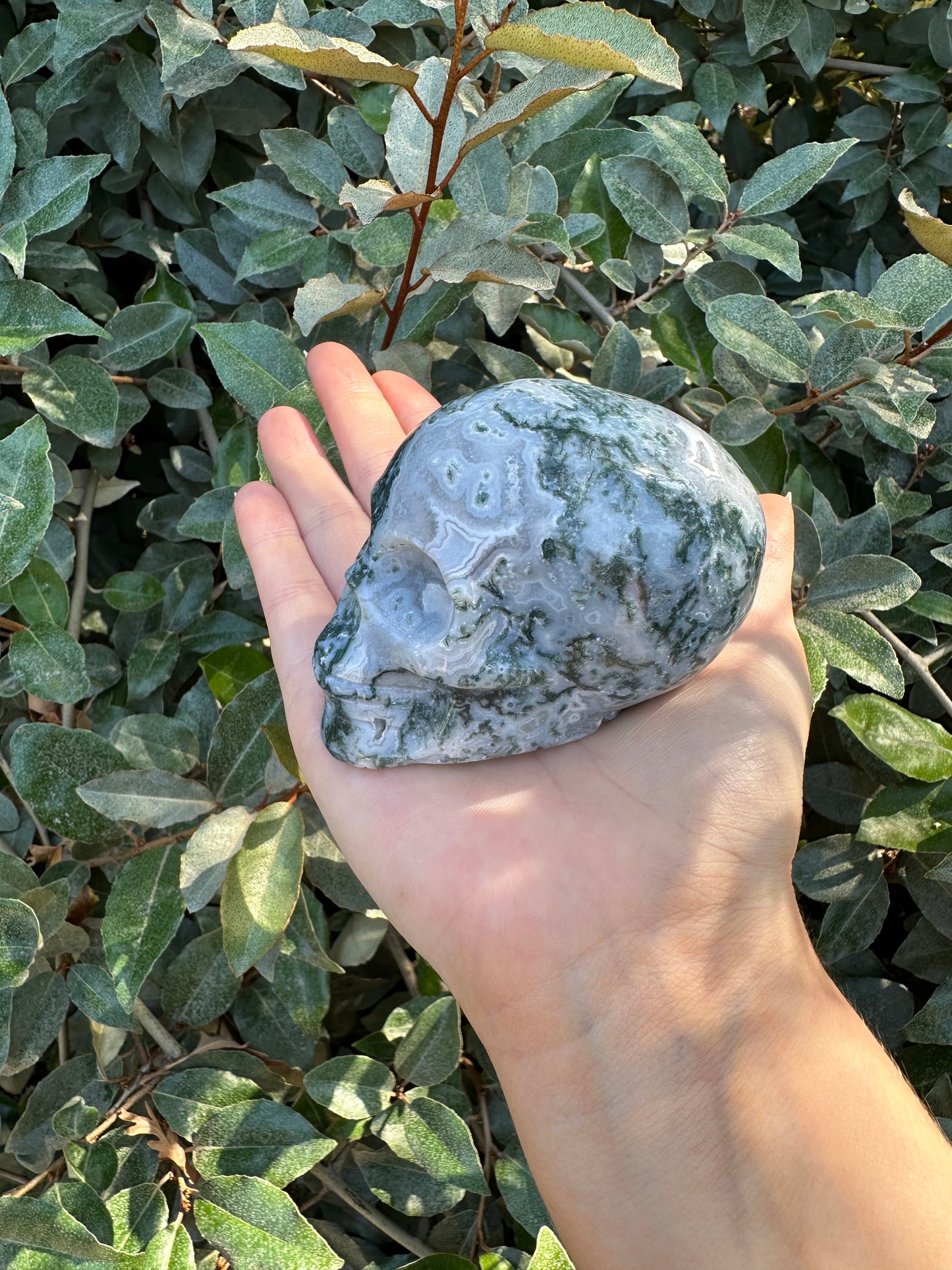 MOSS AGATE SKULL