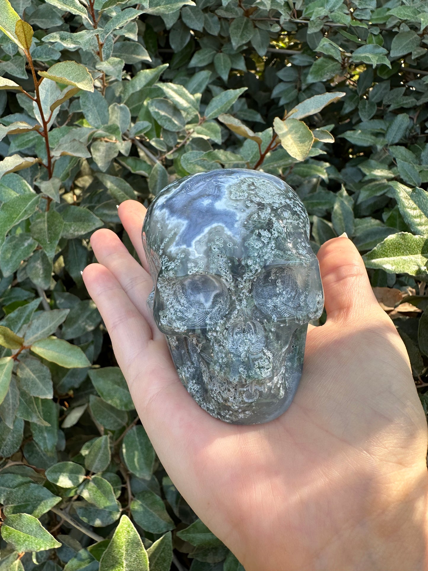 MOSS AGATE SKULL