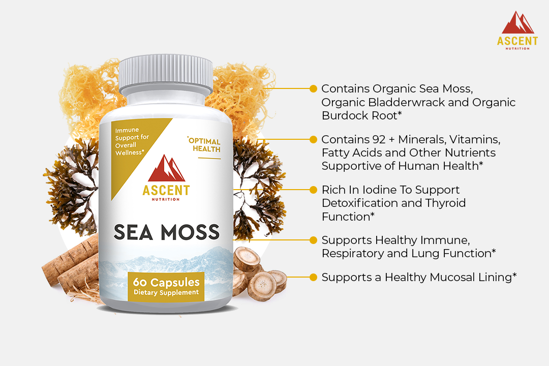 Organic Sea Moss, 60 Capsules, 700 mg each by Ascent Nutrition