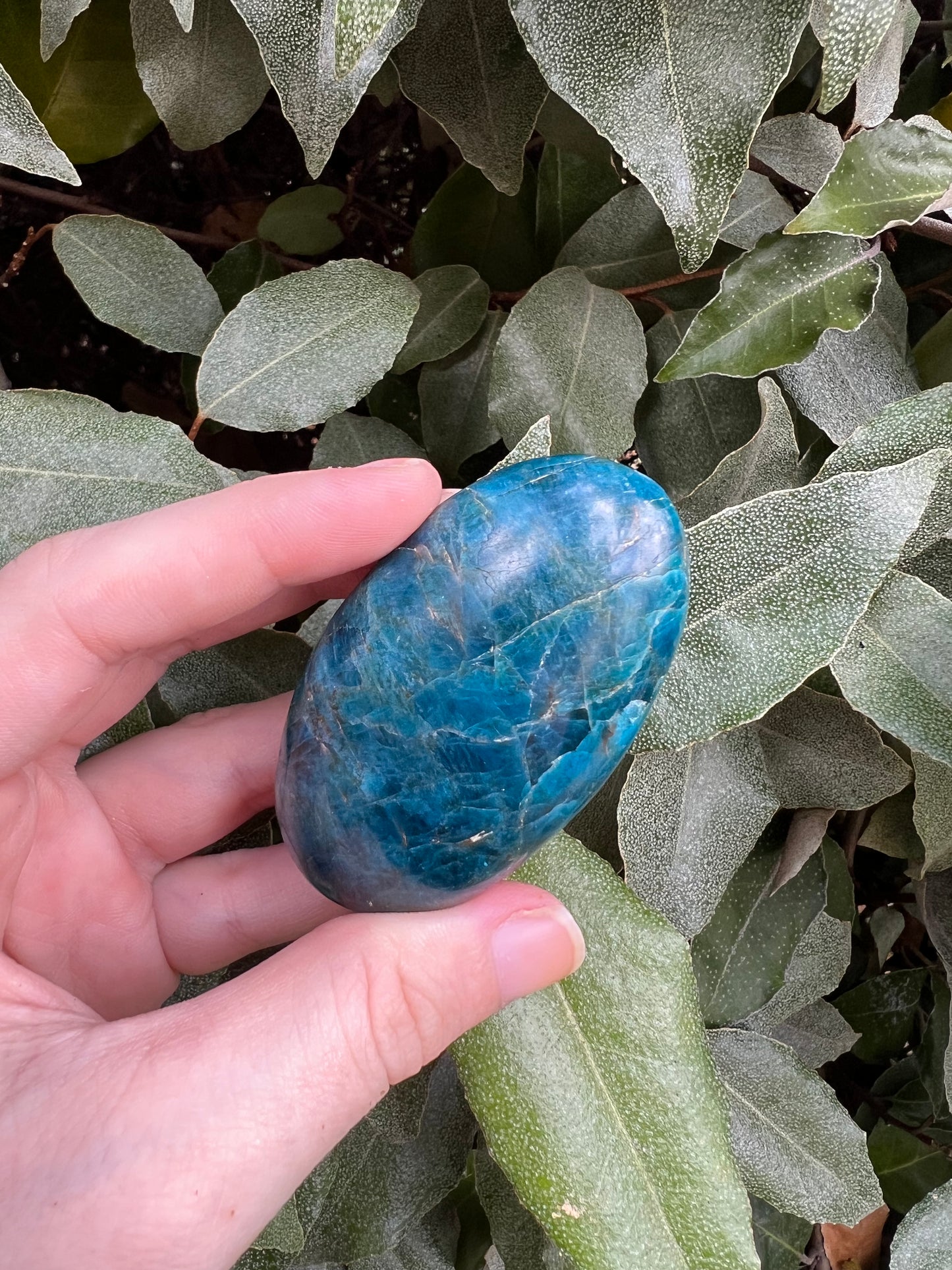 MADAGASCAR BLUE APATITE MASSAGE STONE