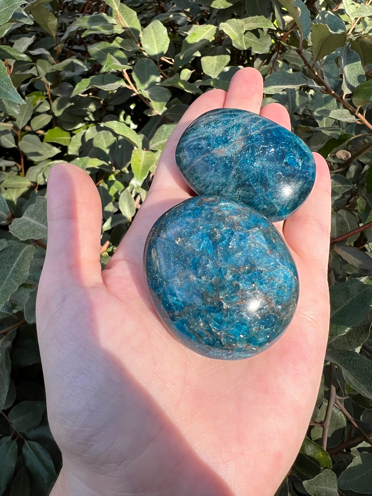 MADAGASCAR BLUE APATITE PALM STONE