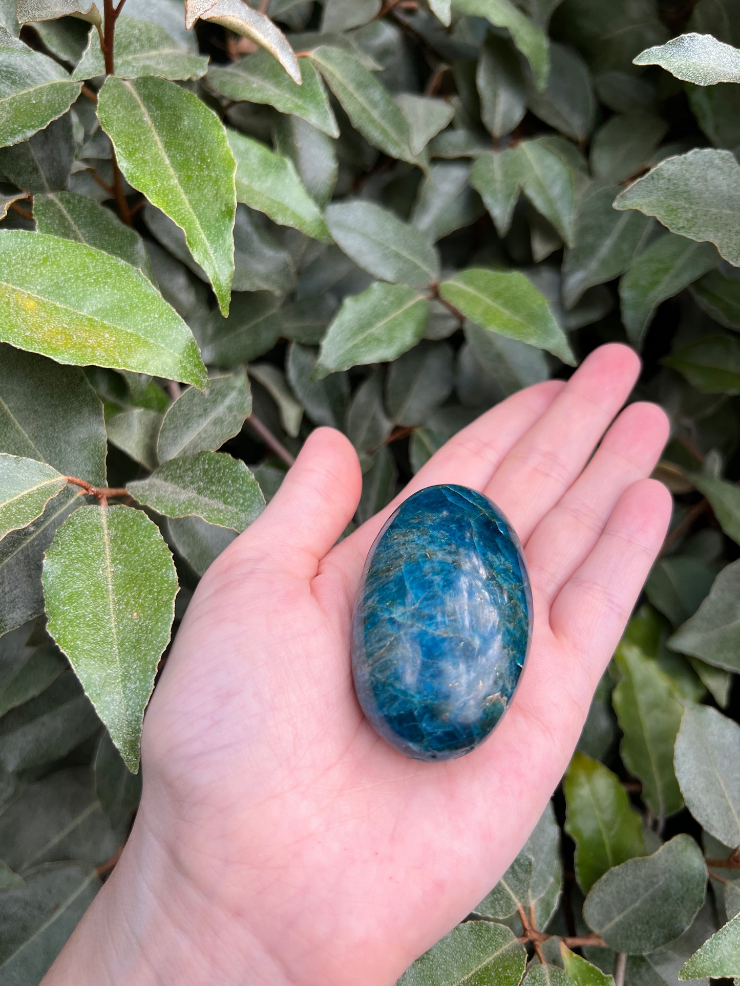 MADAGASCAR BLUE APATITE MASSAGE STONE