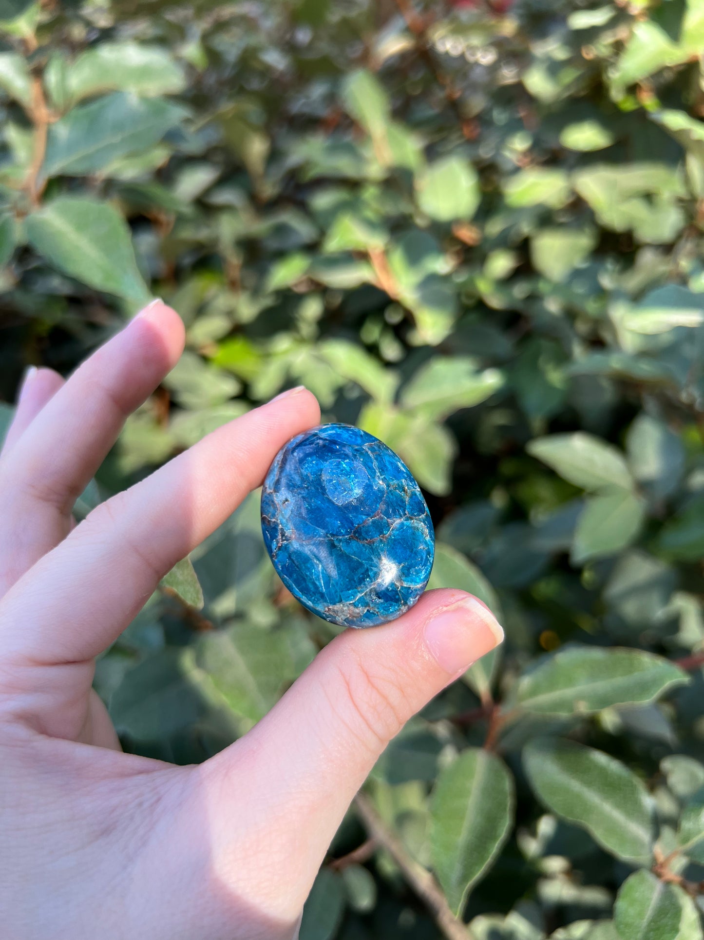 MADAGASCAR BLUE APATITE PALM STONE