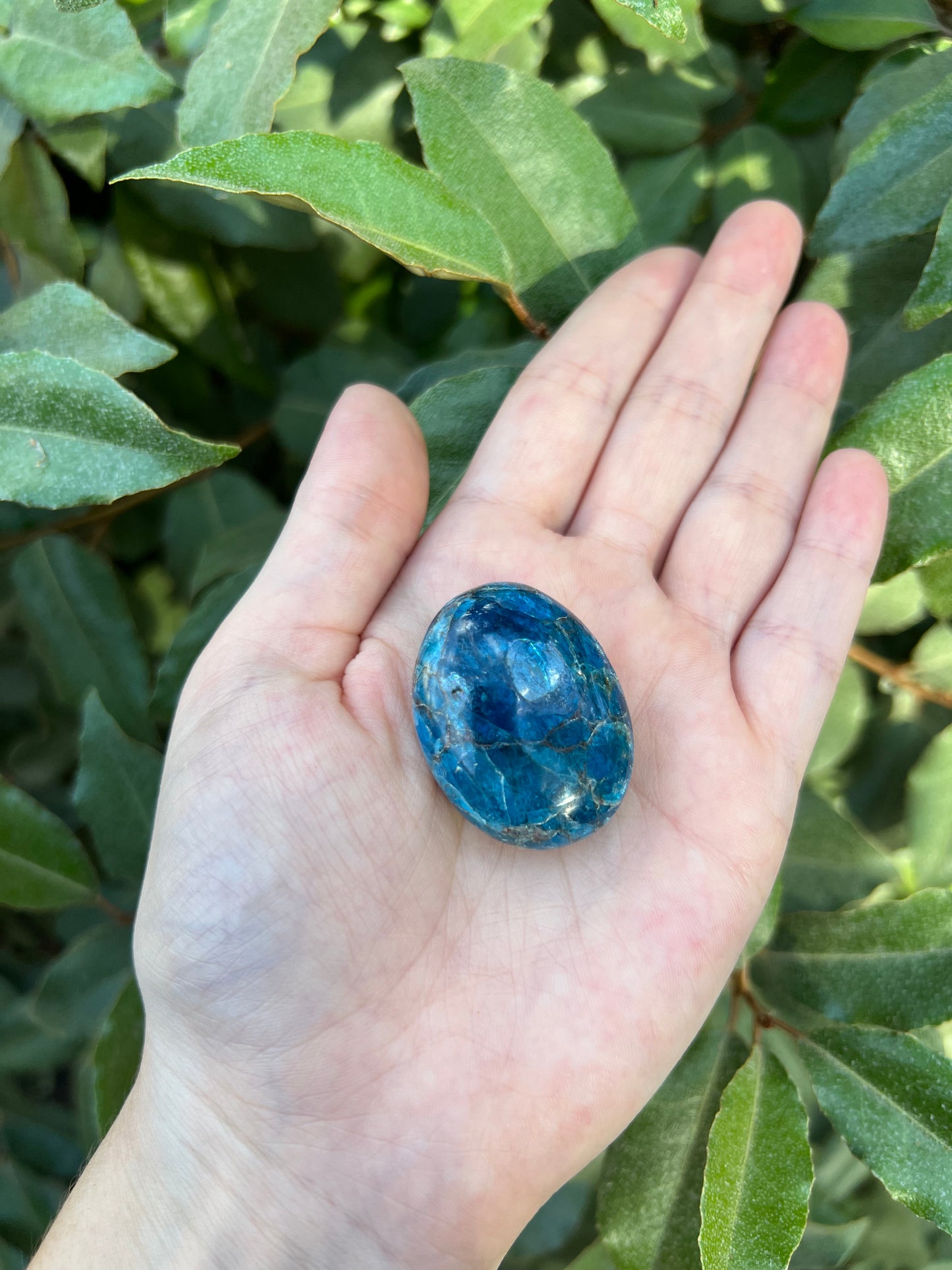 MADAGASCAR BLUE APATITE PALM STONE