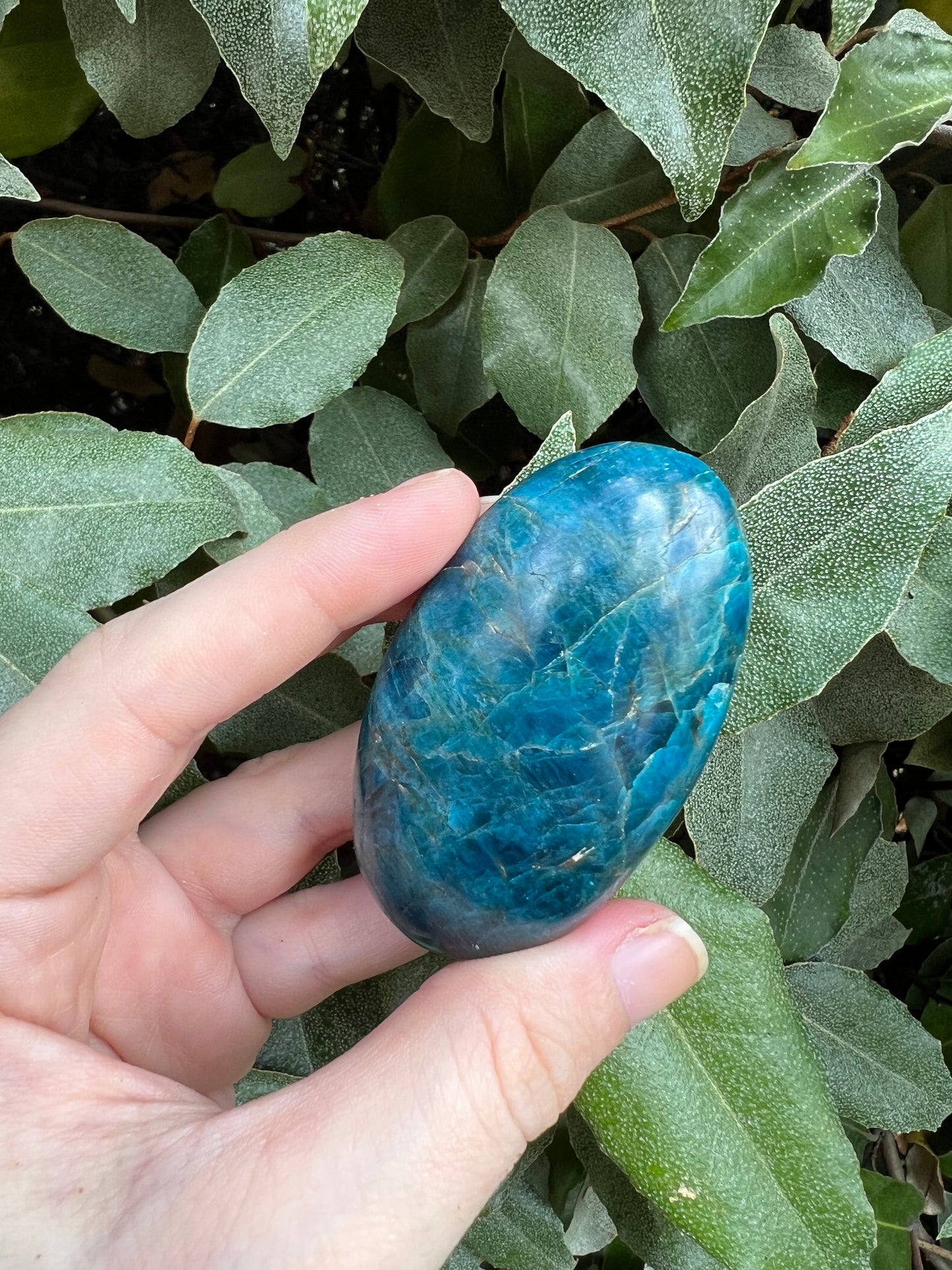 MADAGASCAR BLUE APATITE MASSAGE STONE