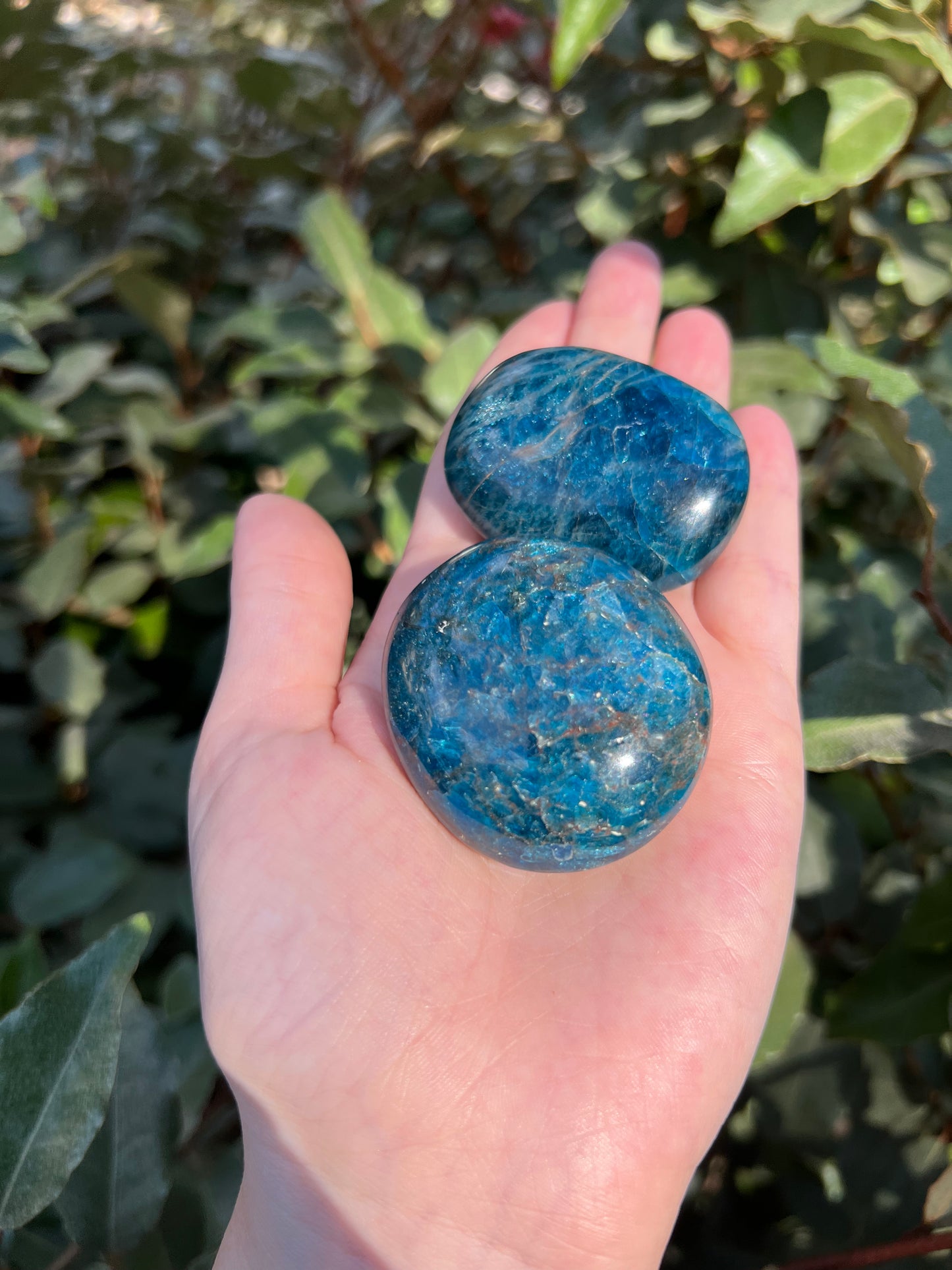 MADAGASCAR BLUE APATITE PALM STONE