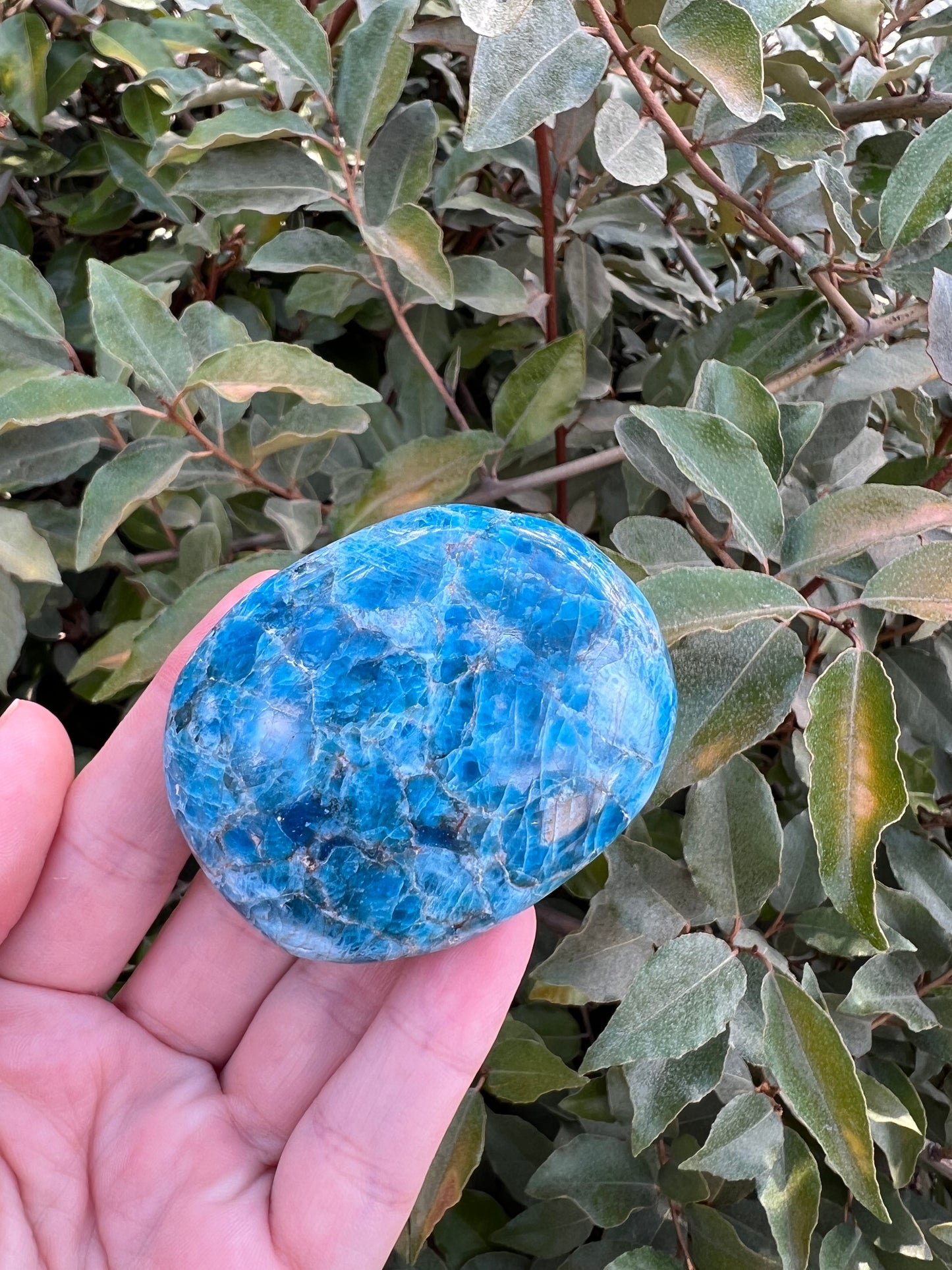 MADAGASCAR BLUE APATITE PALM STONE