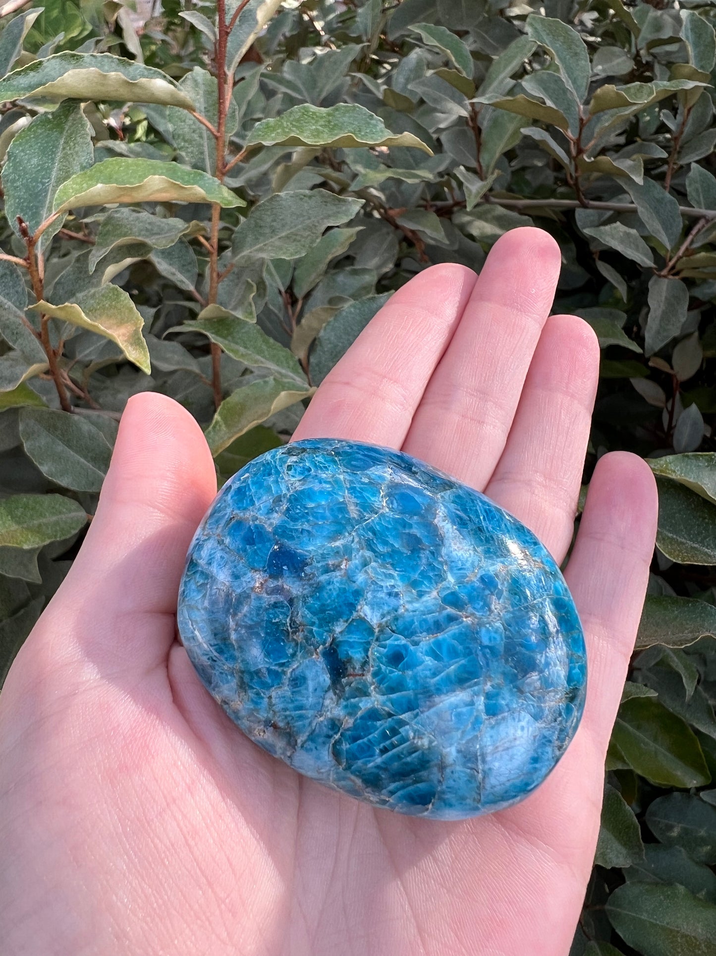 MADAGASCAR BLUE APATITE PALM STONE