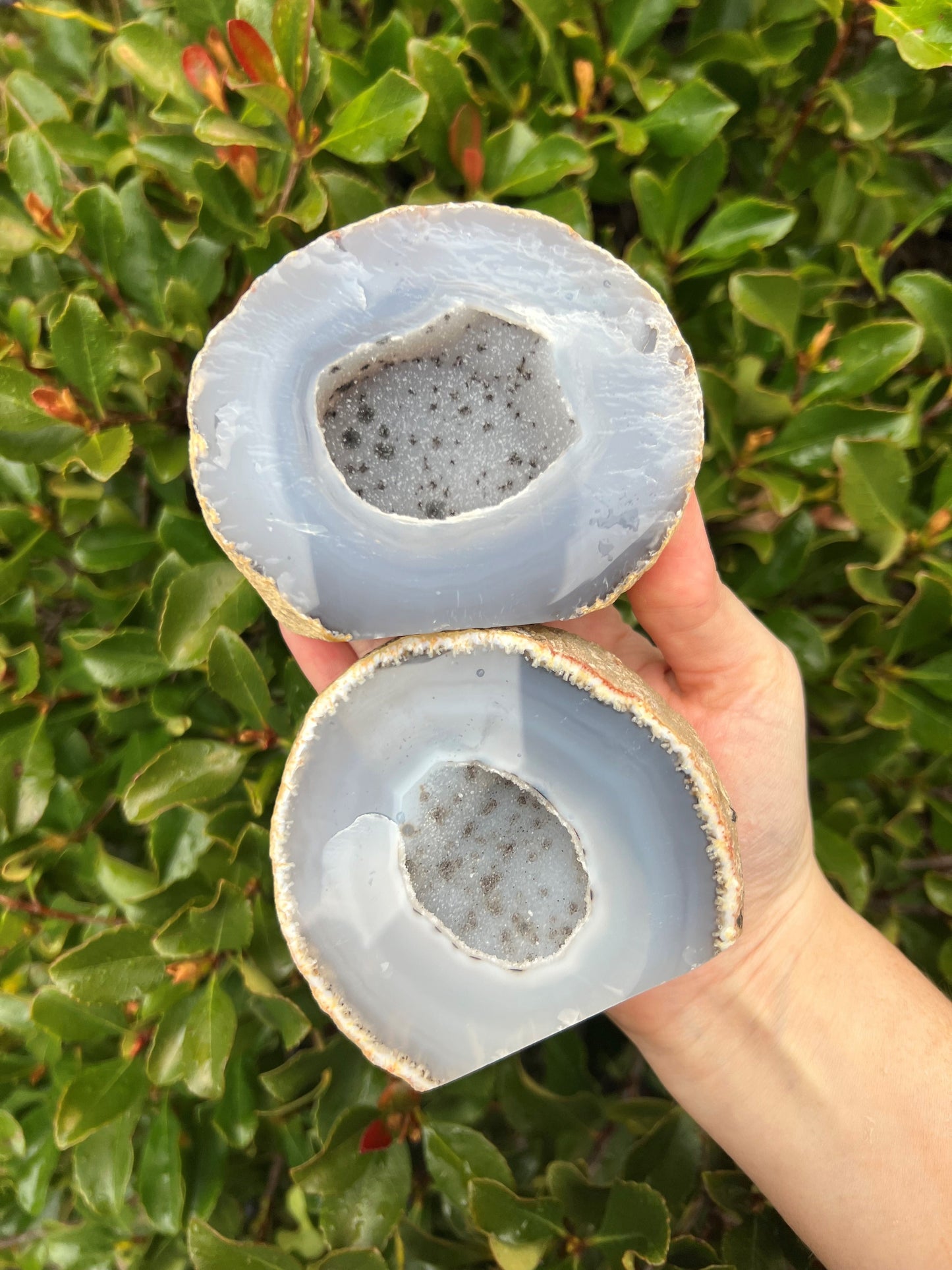 DRUZY AGATE GEODE