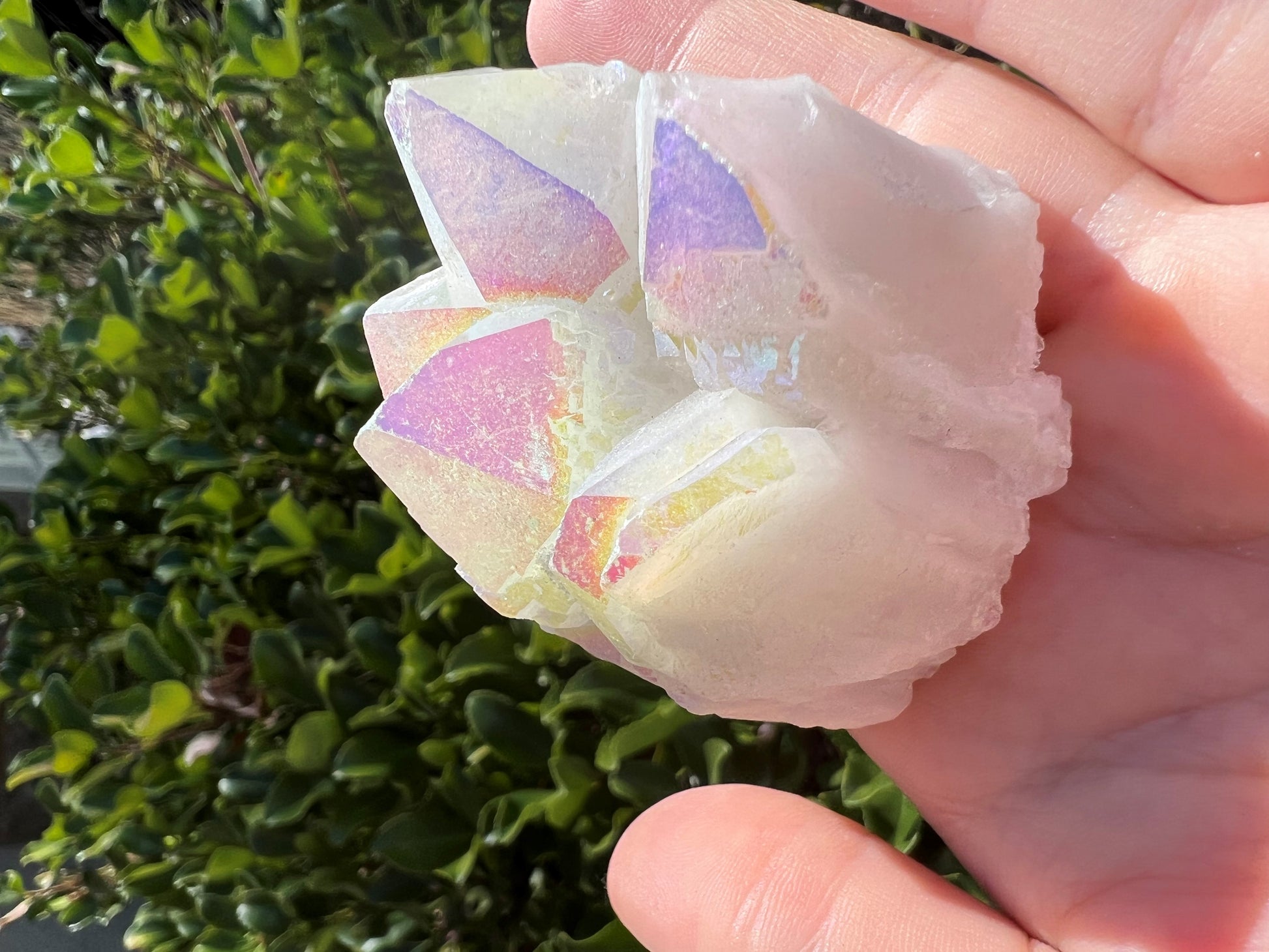 ANGEL AURA QUARTZ CLUSTER