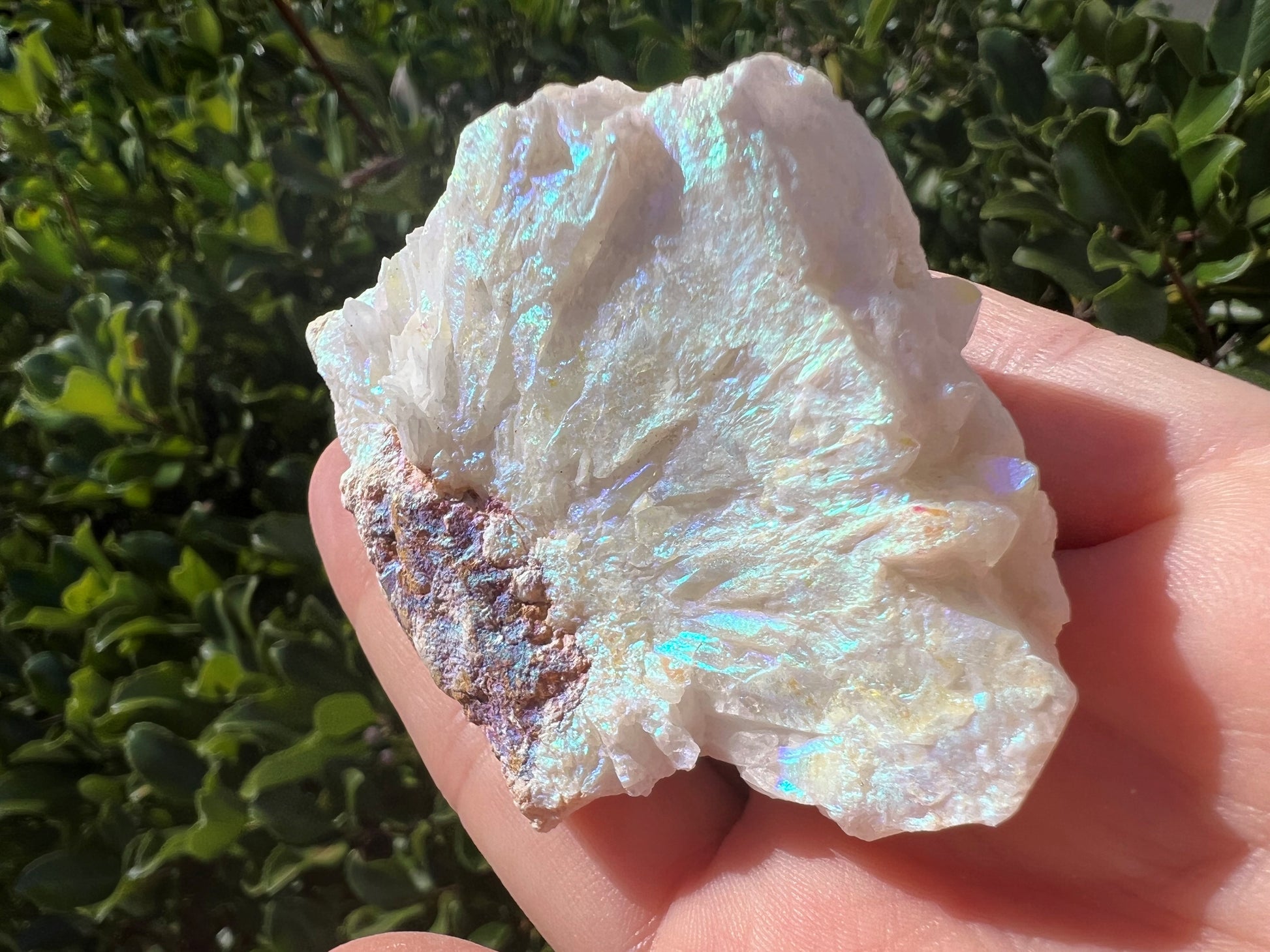 ANGEL AURA QUARTZ CLUSTER