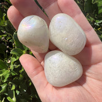 ANGEL AURA ROSE QUARTZ TUMBLED STONE