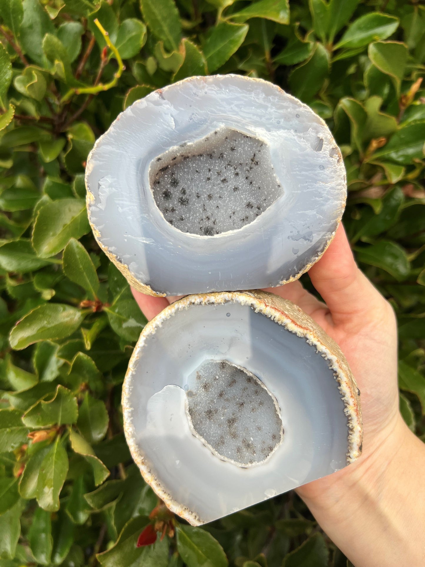 DRUZY AGATE GEODE