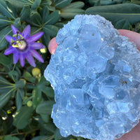 CELESTITE GEODE