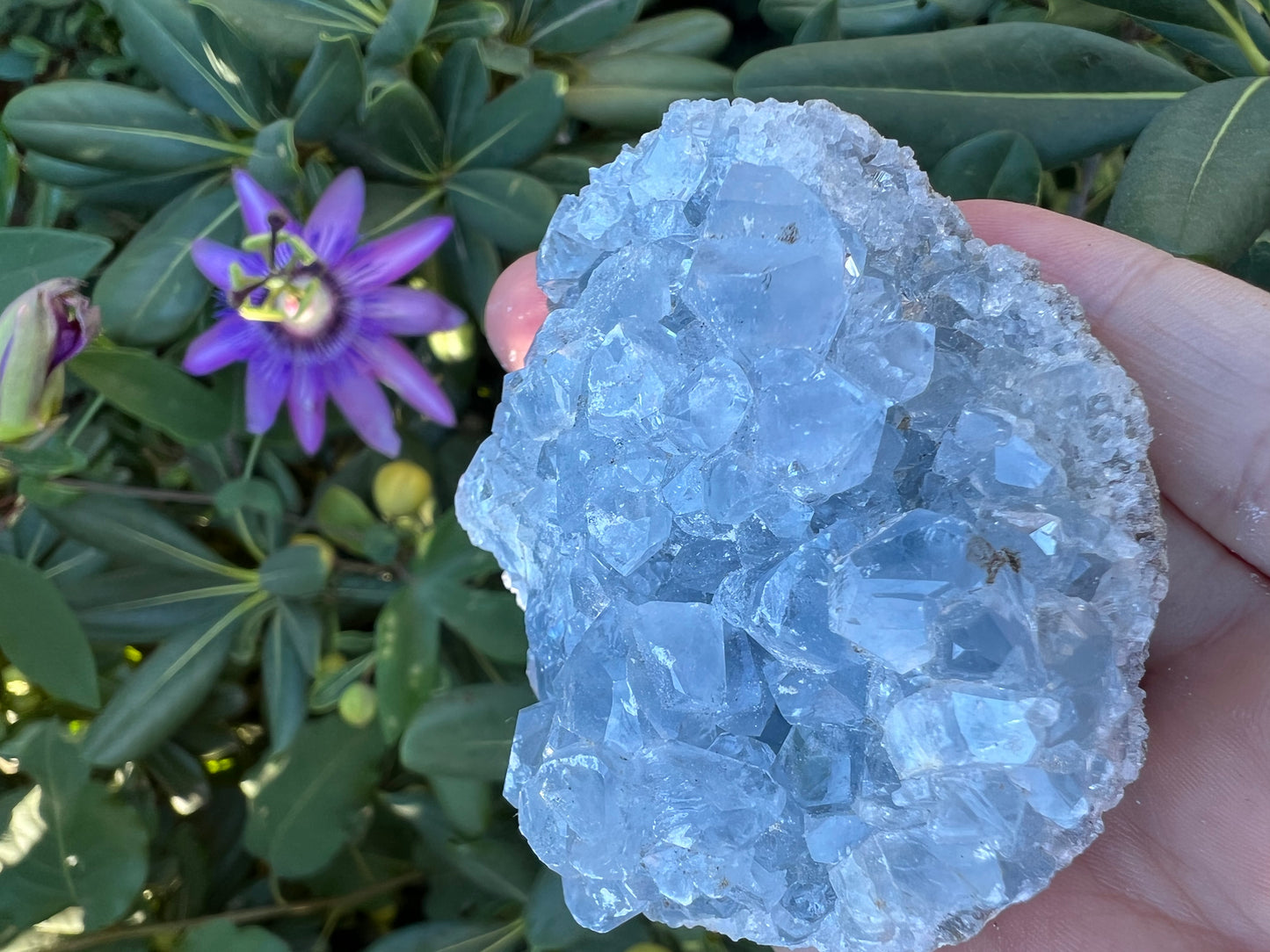 CELESTITE GEODE