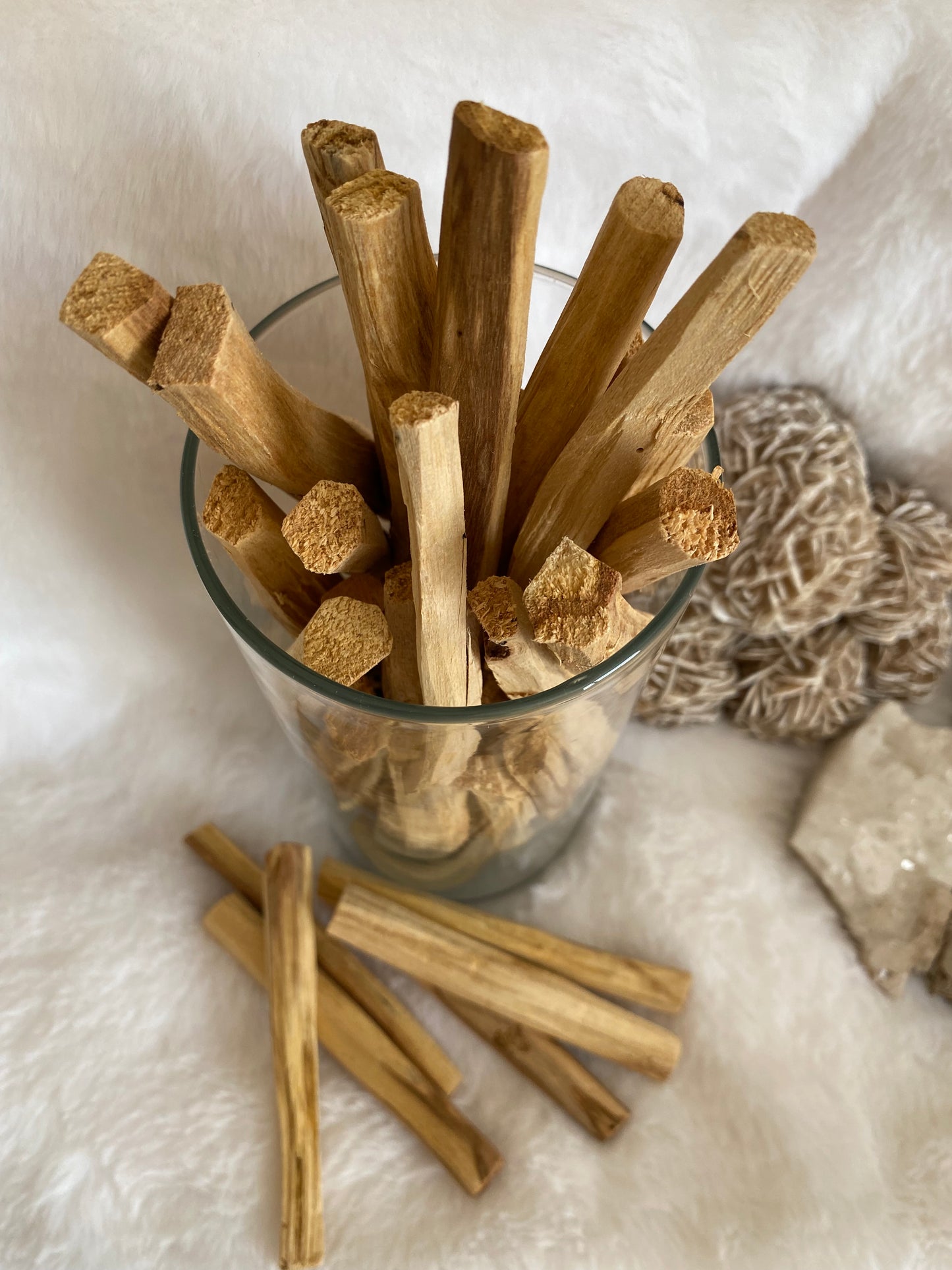 PALO SANTO BUNDLE