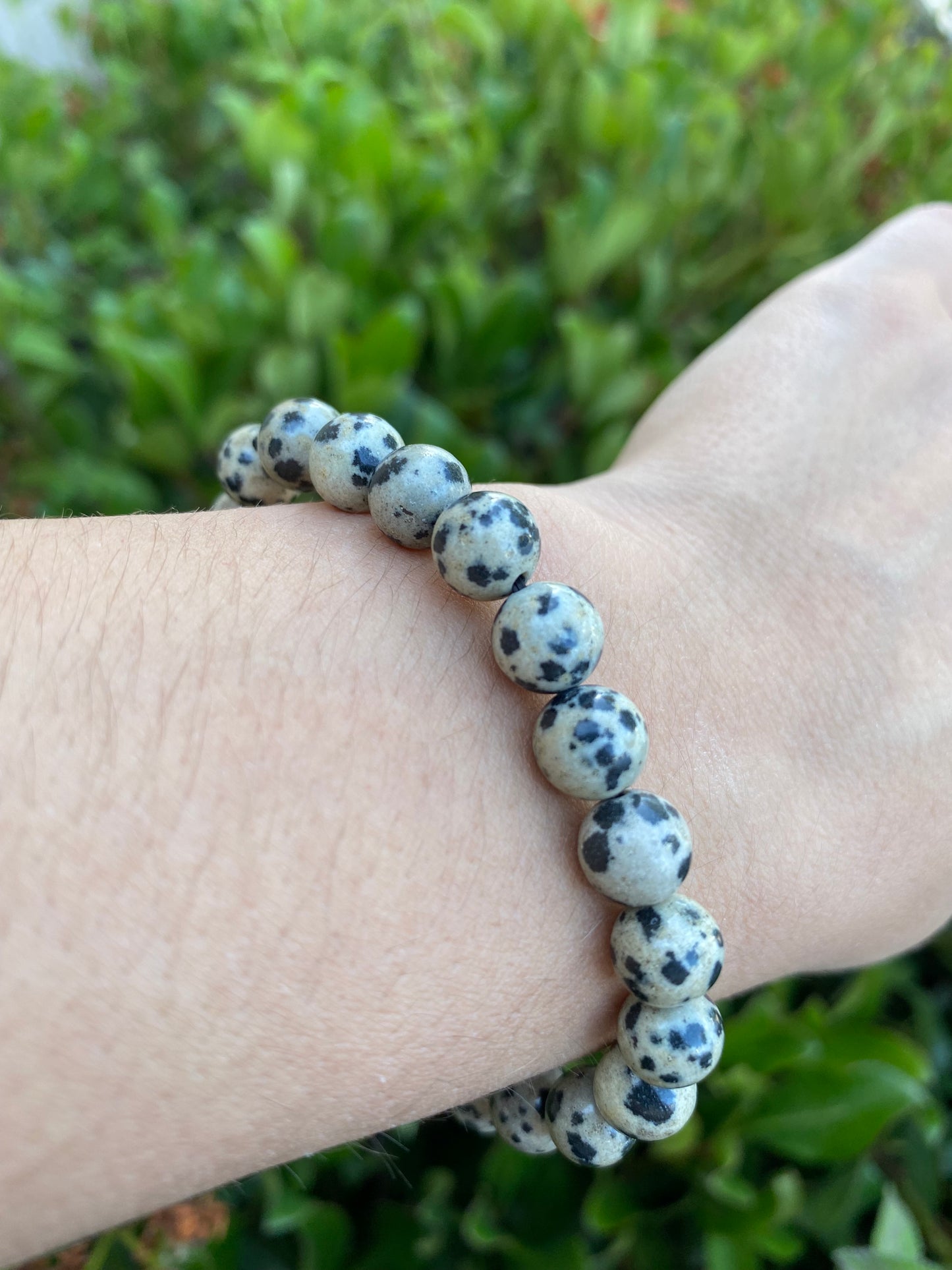 DALMATIAN JASPER BRACELET