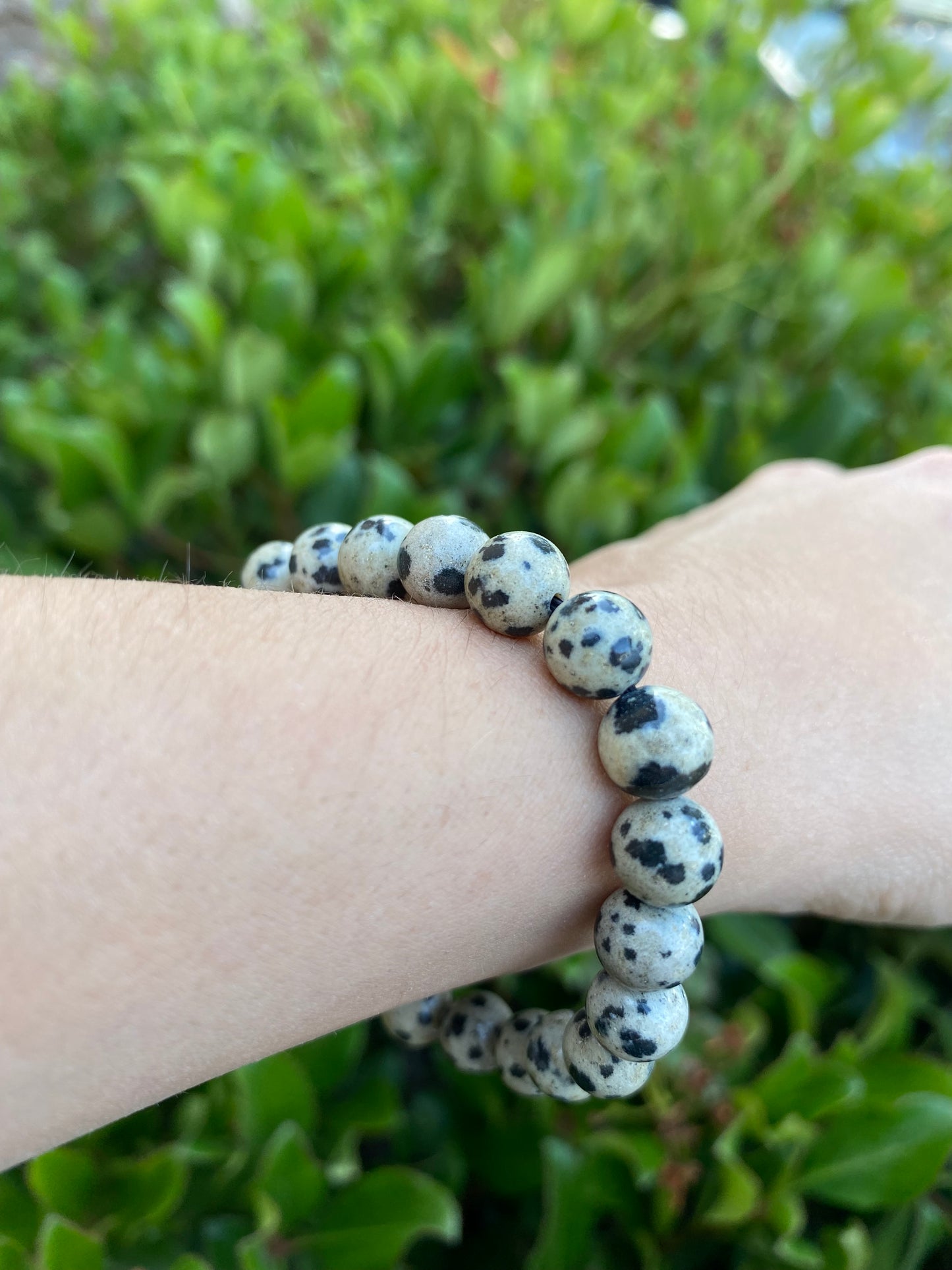 DALMATIAN JASPER BRACELET