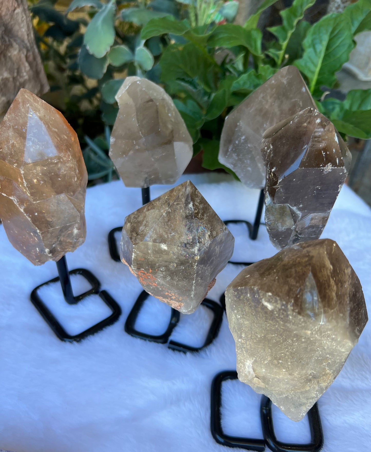 SMOKY QUARTZ TOP POLISHED POINTS WITH STAND