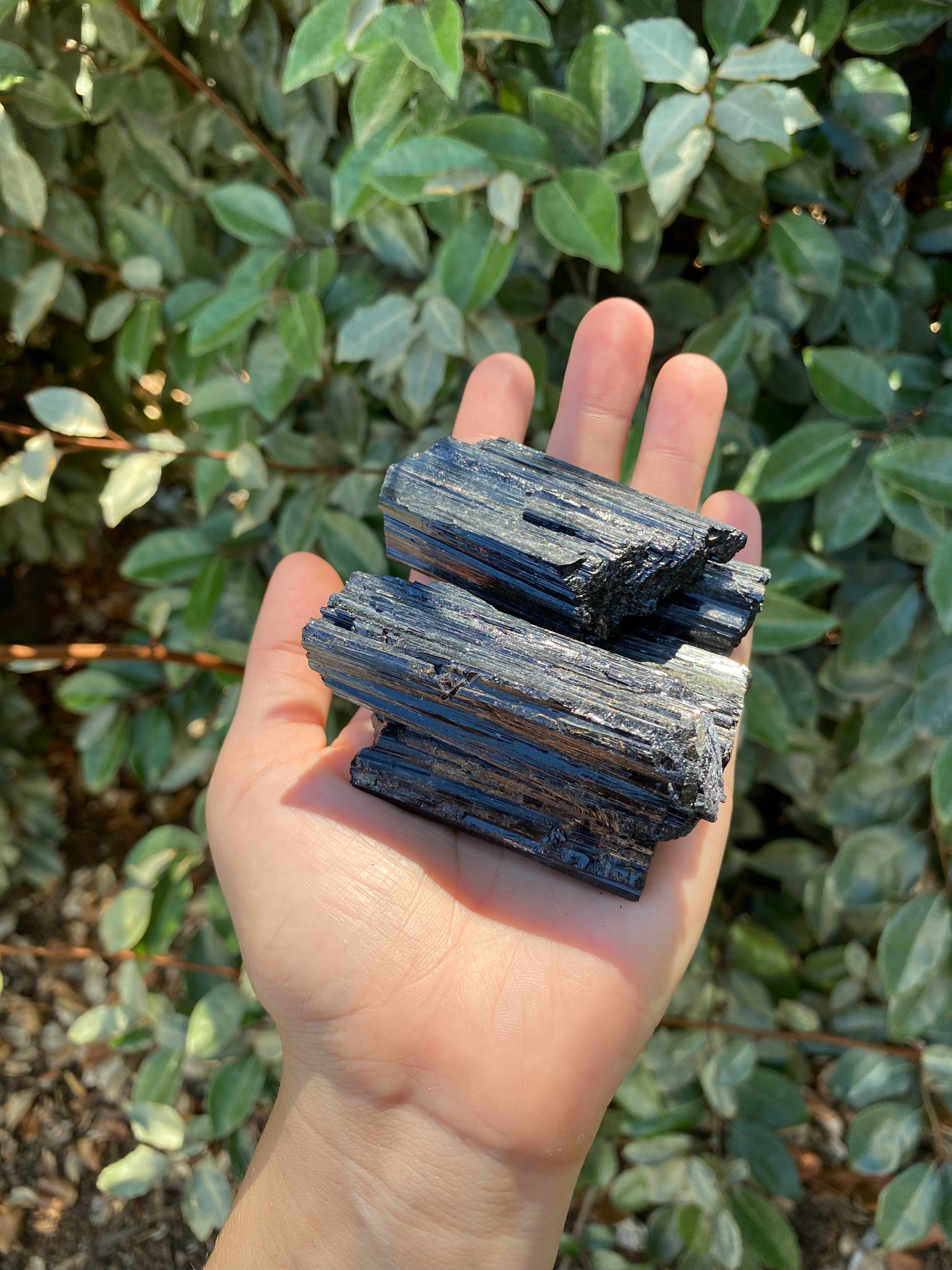 Black Tourmaline A Grade Pieces by HarleyRae