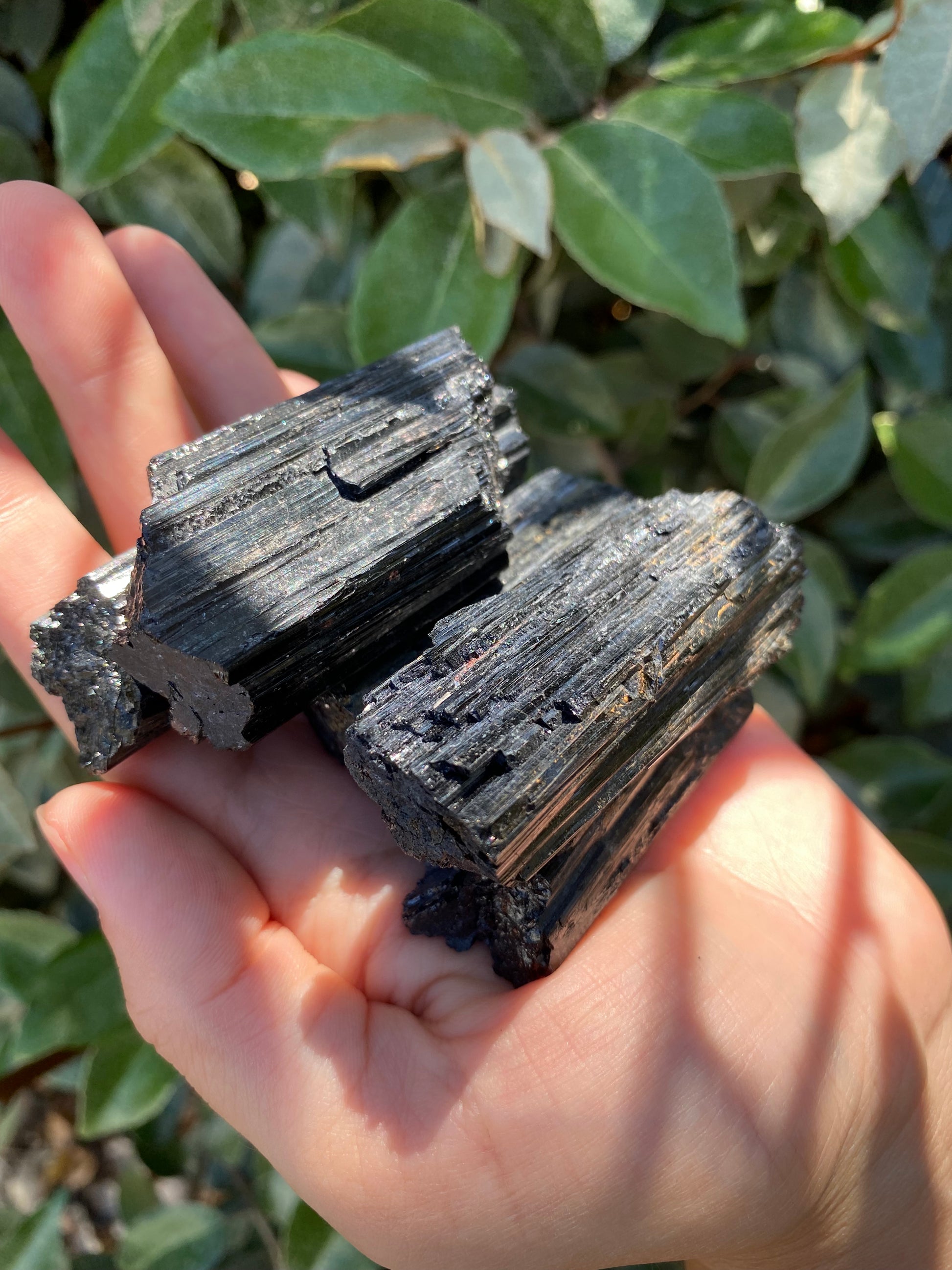 Black Tourmaline 