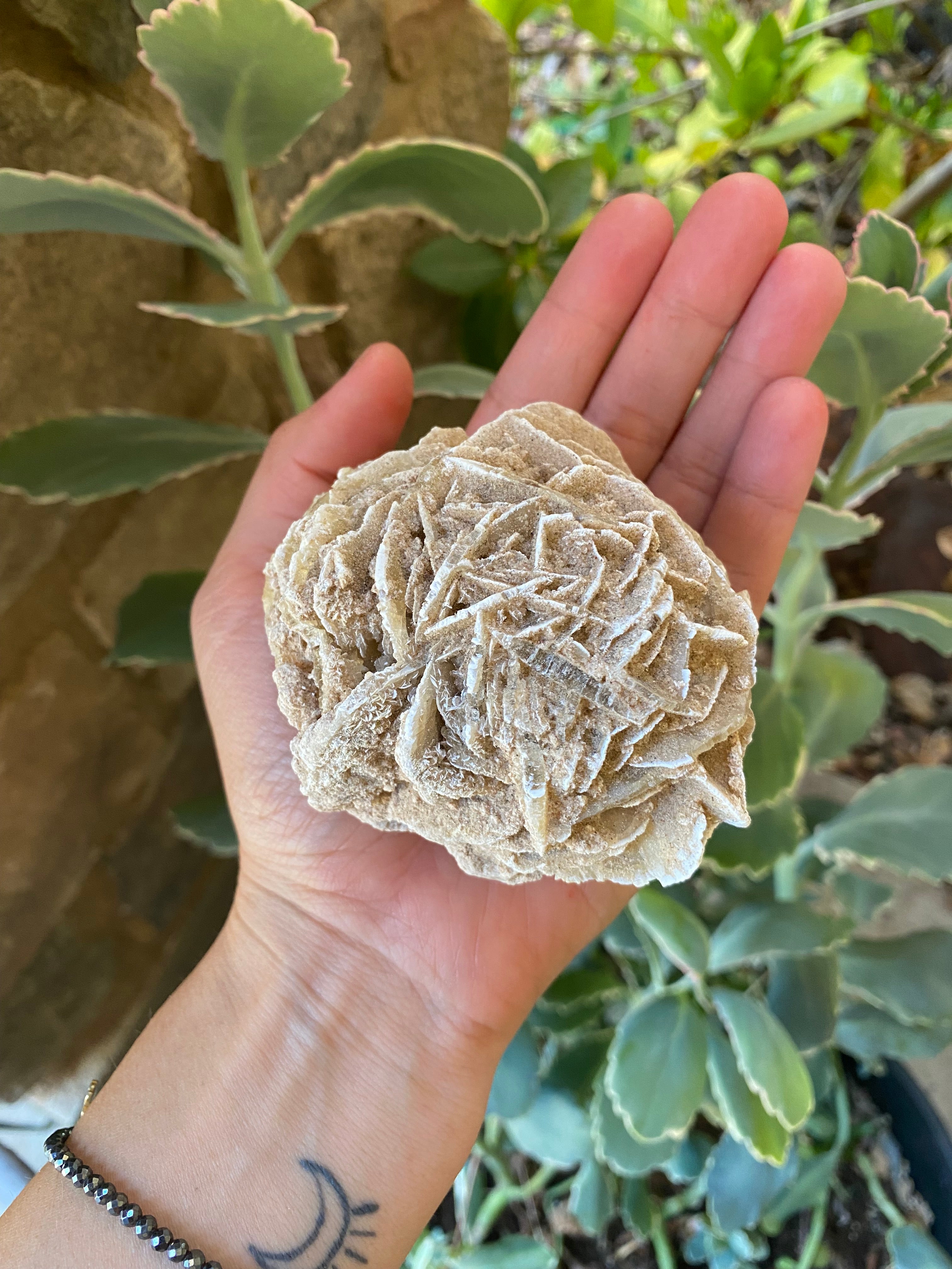 GYPSUM DESERT ROSE