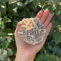 GYPSUM DESERT ROSE