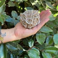 GYPSUM DESERT ROSE