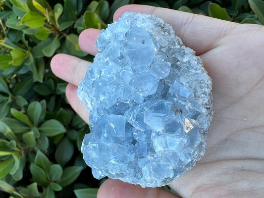 CELESTITE GEODE